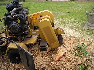 Stump Grinding