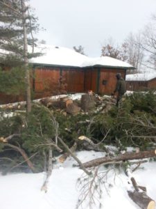 Lake ice tree work