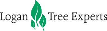 Logan Tree Experts