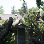 storm damage 1