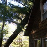 storm damage 2